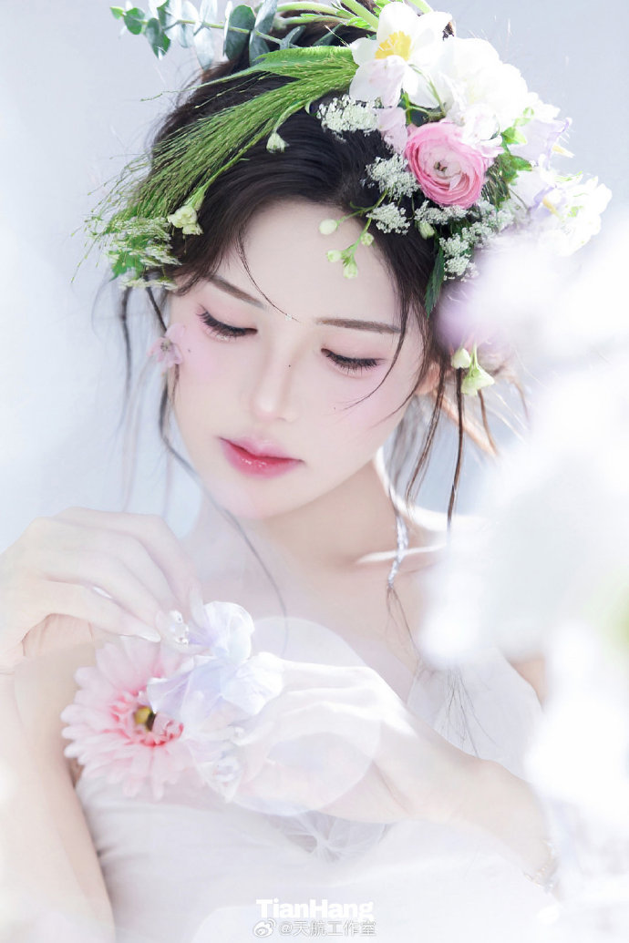 阿甘正传 封面